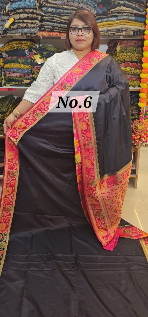 PASHMINA DESIGNER SAREE (NO.6)