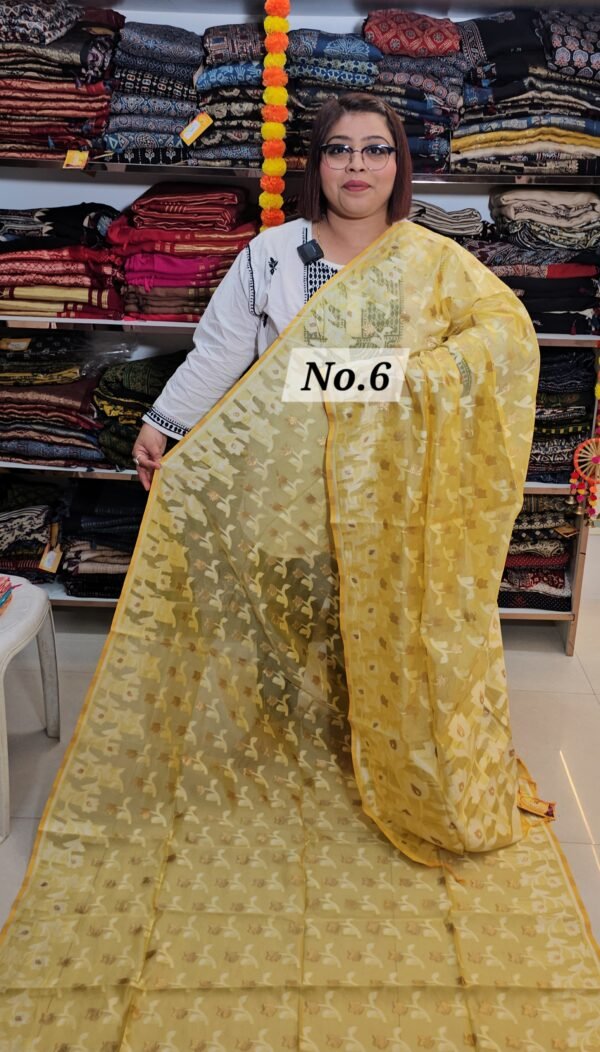 MASLIN BANARSI SAREE (NO.6)