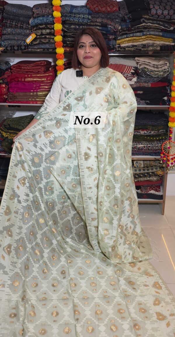 MASLIN BANARSI SAREE (NO.6)