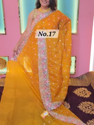 TISSUE ORGANZA SAREE (NO.17)