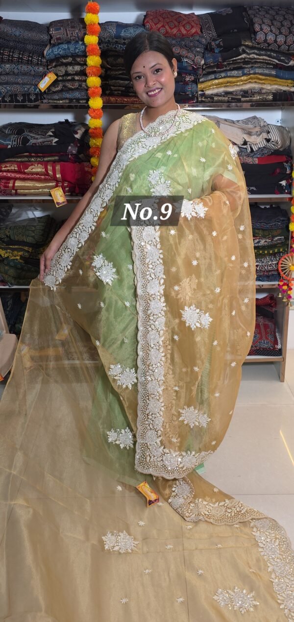 TISSUE ORGANZA SAREE (NO.9)