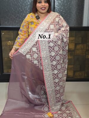 NAKSHI ORGANZA SAREE (NO.1)