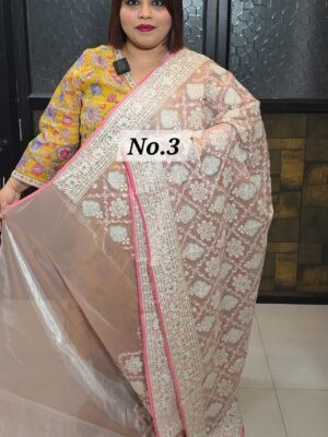 NAKSHI ORGANZA SAREE (NO.3)
