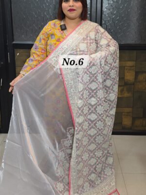 NAKSHI ORGANZA SAREE (NO.6)