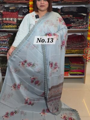 CHIFFON SAREE (NO.13)