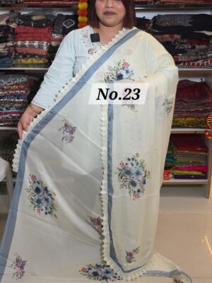 CHIFFON SAREE (NO.23)