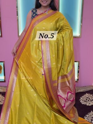 PAITHANI SAREE (NO.5)