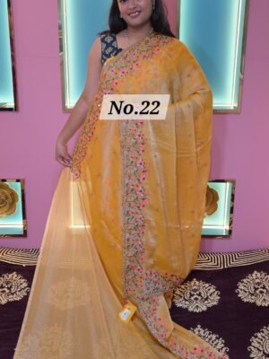 EMBROEDERIED SAREE (NO.22)