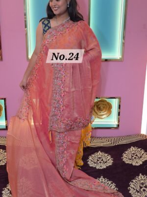 EMBROEDERIED SAREE (NO.24)