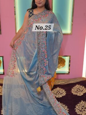 EMBROEDERIED SAREE (NO.25)