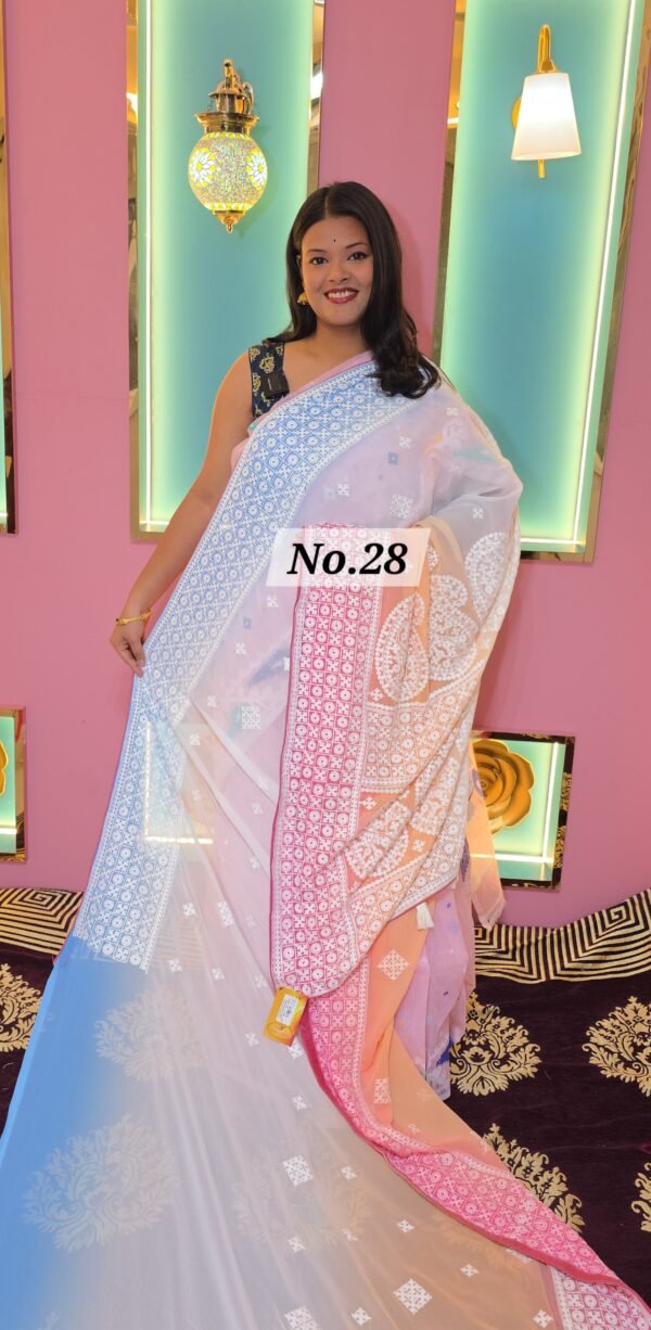 EMBRODERIED SAREE (NO.28)