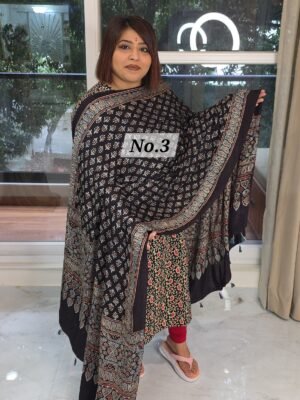AJRAK MODAL SILK DUPATTA (NO.3)