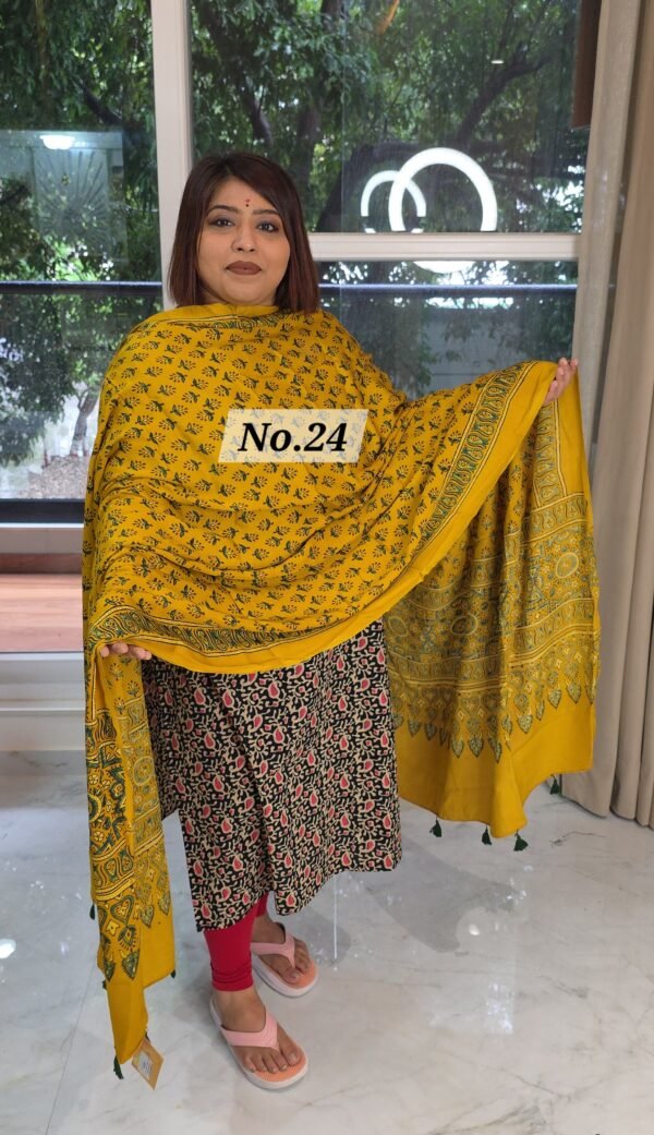 AJRAK MODAL SILK DUPATTA (NO.24)