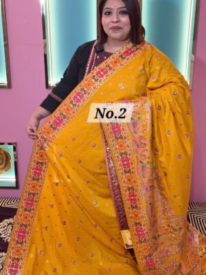 DOLA PASHMINA SAREE (NO.2)