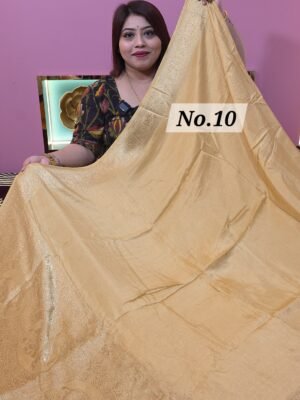 DOLA PLANE MODAL (NO.10)
