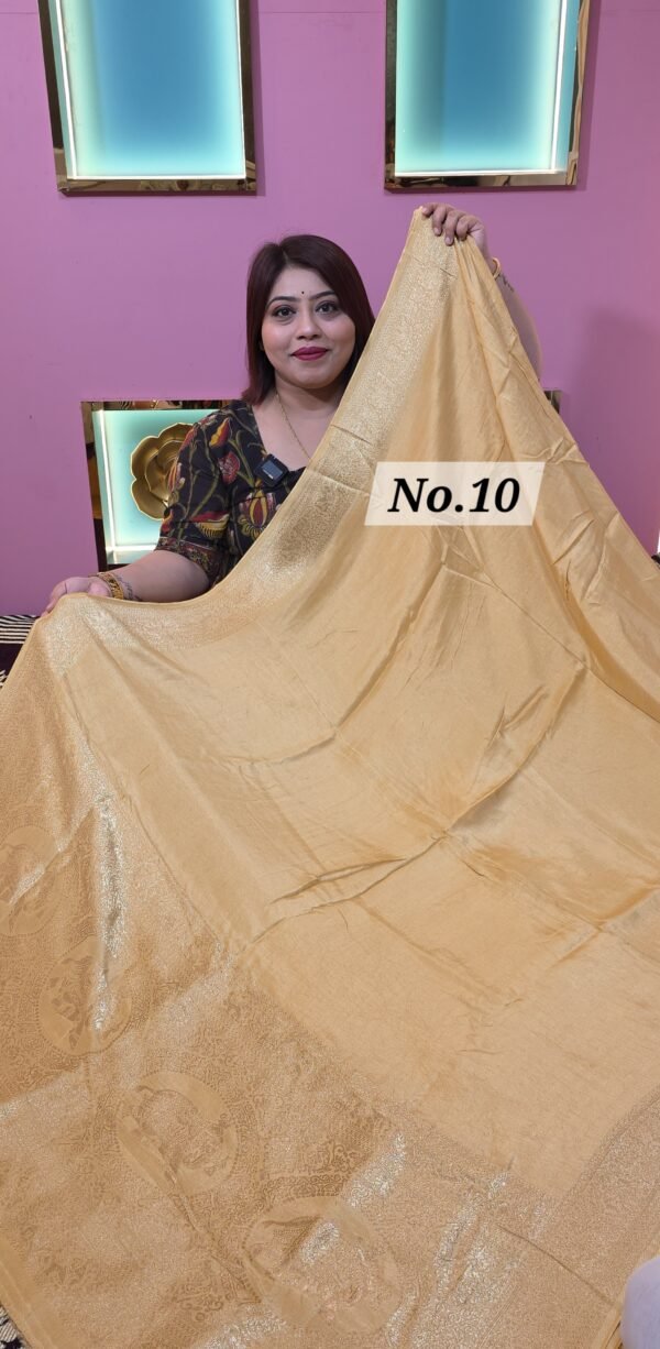 DOLA PLANE MODAL (NO.10)