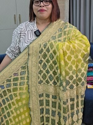 PURE CHIFFON KHADDI BANARSI SAREE (4)