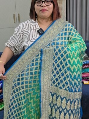 PURE CHIFFON KHADDI BANARSI SAREE (3)