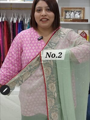 FANCY DESIGNER SAREE (NO.2)