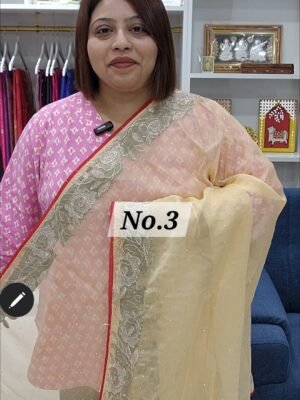 FANCY DESIGNER SAREE (NO.3)