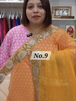 FANCY DESIGNER SAREE (NO.9)