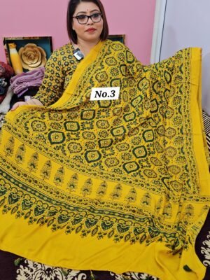 9TH APRIL LIVE – MODAL DUPATTA (NO.3)