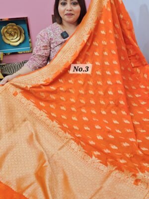 13TH APRIL LIVE - GEORGETT SILK KHADDI SAREE (NO. 3)