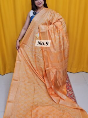 20TH APRIL 2NDLIVE - HANDBLOCK MAHESHWARI SILK SAREE (NO.9)