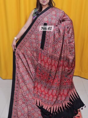 PURE AJRAKH MODAL SILK SAREE (NO.41)