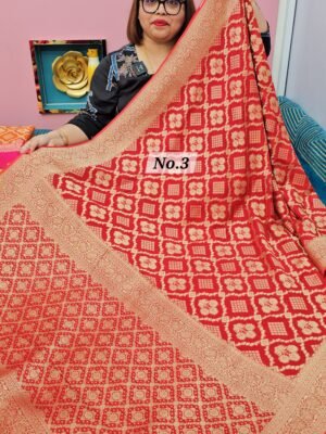 3RD MAY LIVE - NIMZARI GEORGETT BANARSI SAREE (NO.3)