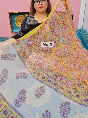 3RD MAY LIVE - PURE CHIFFON HANDBLOCK SAREE (NO.2)