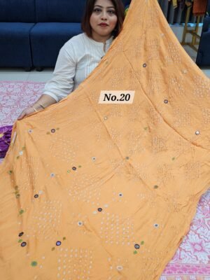 13TH MAY LIVE - BANDHEJ SAREE (NO.20)