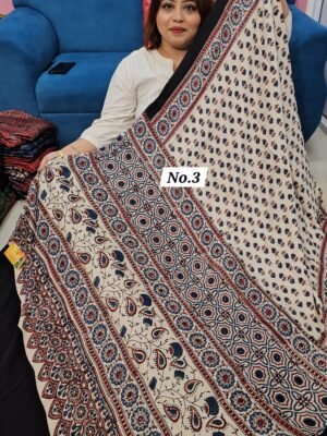 PURE AJRAKH MODAL SILK SAREE (NO.3)