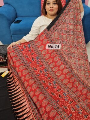 PURE AJRAKH MODAL SILK SAREE (NO.14)