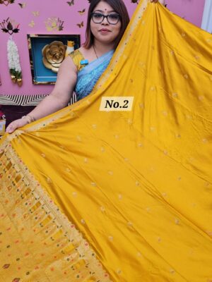 SALE 28TH JULY - GAZZI SILK BANARSI SAREE (NO.2)