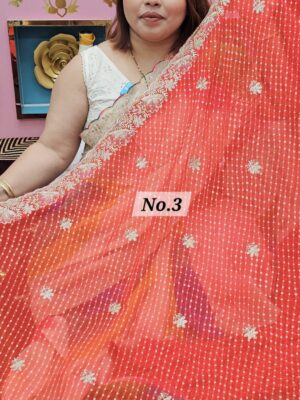 SALE 22ND JULY - MOSS CHIFFON SAREE (NO.3)