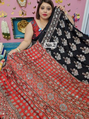 SALE 18TH AUG – AJRAKH MODAL MIRROR SAREE (NO.2)