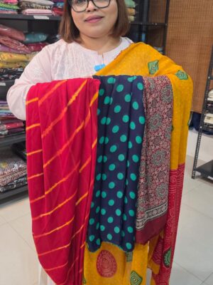 RANDOM COMBO OF 2 CHIFFON SAREES