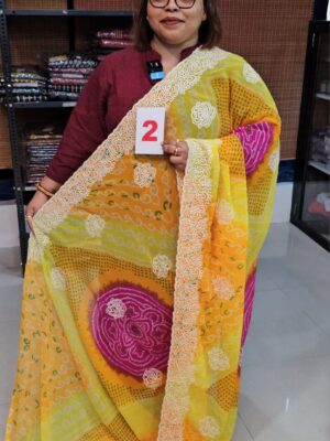 31ST AUG – MOSS CHIFFON SAREE (NO.2)