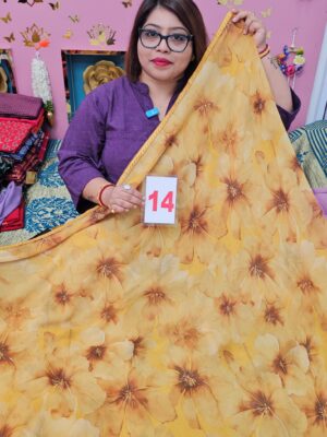 12TH SEP 2ND LIVE - MOSS CHIFFON SAREE (NO.14)