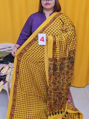 2ND SEP LIVE – PURE AJRAKH MODAL SILK SAREE (NO.4)