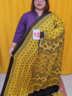 2ND SEP LIVE – PURE AJRAKH MODAL SILK SAREE (NO.12)