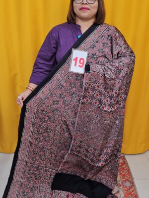 2ND SEP LIVE – PURE AJRAKH MODAL SILK SAREE (NO.19)