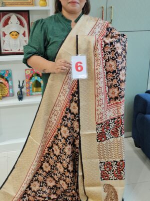 6TH SEP LIVE - RUSSIAN MODAL SILK SAREE (NO.6)