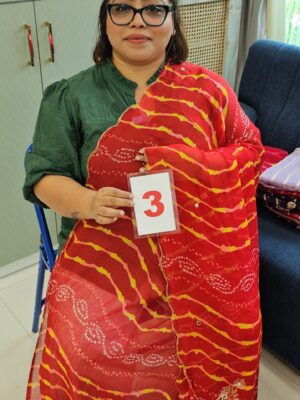 6TH SEP LIVE - MOSS CHIFFON SAREE (NO.3)
