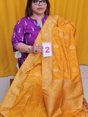 8TH SEP LIVE -  GEORGETT SILK KHADDI SAREE (NO.2)