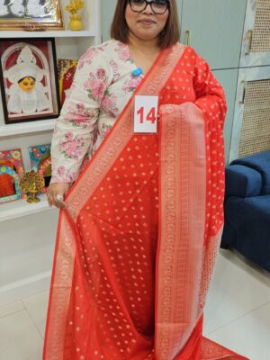 10TH SEP 2ND LIVE – GEORGETTE SILK KHADDI SAREE (NO.14)