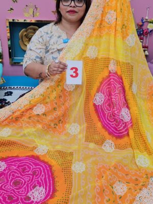 22ND SEP LIVE – MOSS CHIFFON SAREE (NO.3)