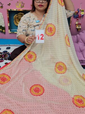 22ND SEP LIVE – MOSS CHIFFON SAREE (NO.12)