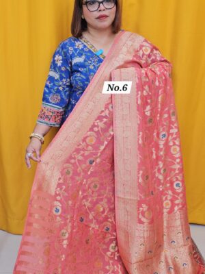 24TH SEP LIVE – PREMIUM GEORGETT KHADDI SAREE (NO.6)